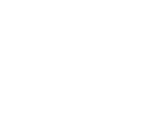 Feryclean